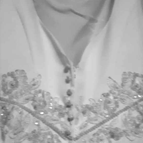 Alfred Angelo Wedding Dress - Picture 3 of 7